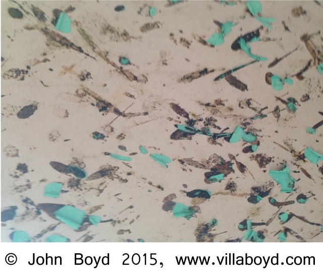 Batshit Crazy Copyright John Boyd 2015